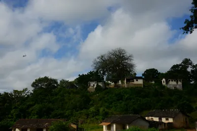 DSC_8042 (Large).JPG